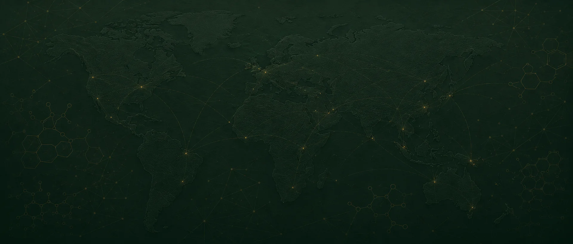 Global export network map